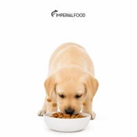 ImagenImperialfoodPP Imperialfood Alimentación Premium Perros. Más nutrientes, mas natural, mas salud para tu amigo de cuatro patas. Tecnología Triple Capa.