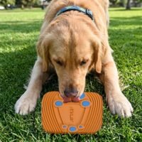 licklock licklock — juguetes de caucho natural para perros. resistentes y seguro