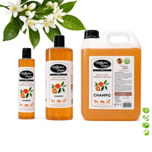 naranja y azahar 3formatos